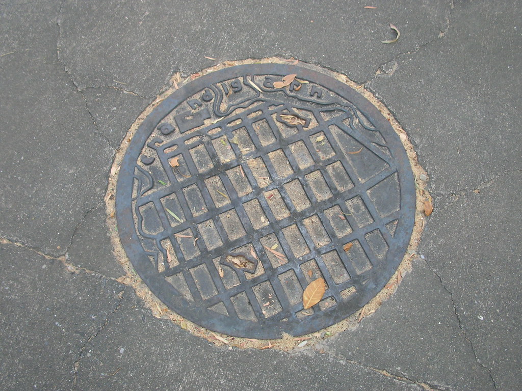 Chandigarh’s iconic manhole cover image